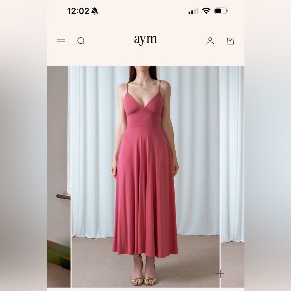 AYM Pink Maxi Dress